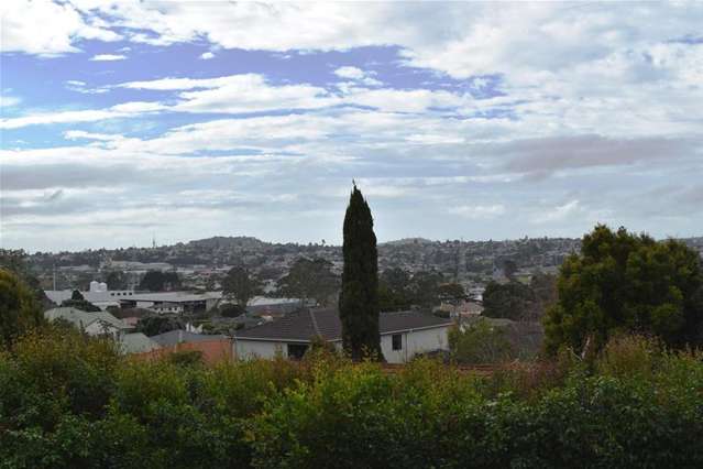 2/66 Astley Avenue New Lynn_1