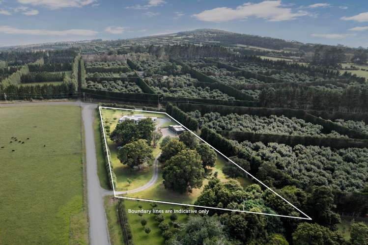 17 Woodward Road Maungatapere_20