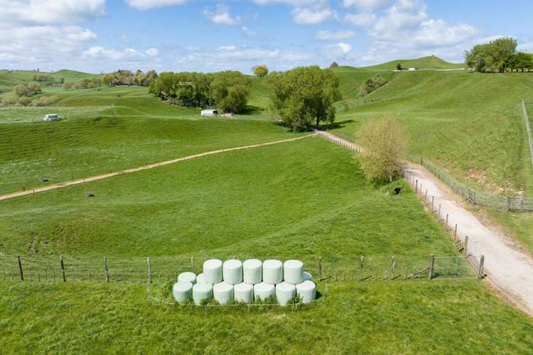 653 Overdale Road Putaruru_3