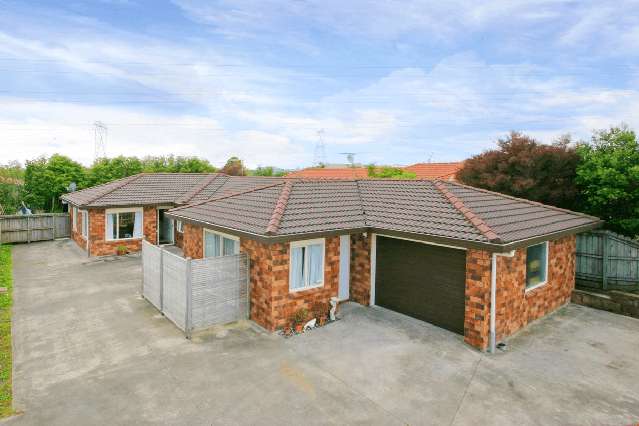 24B Carrick Glen Ave Flat Bush_1
