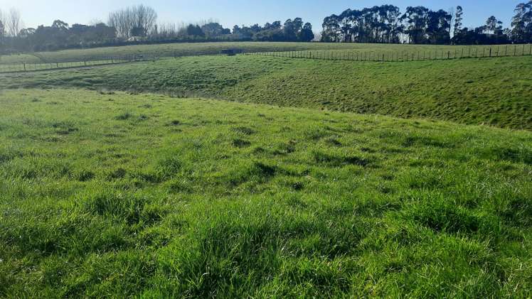 3 Williams Road Tokomaru_12