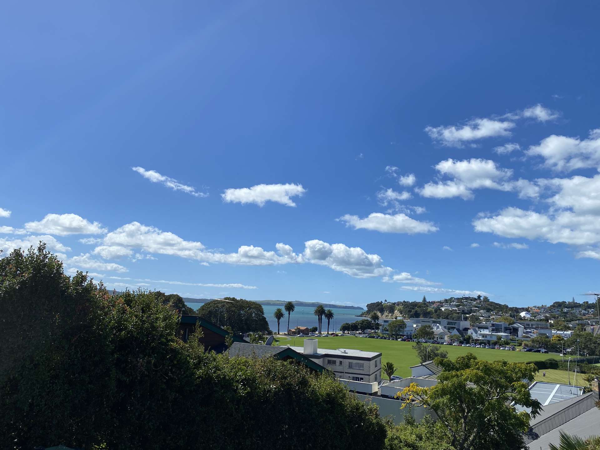 1/24 Auckland Road Saint Heliers_0