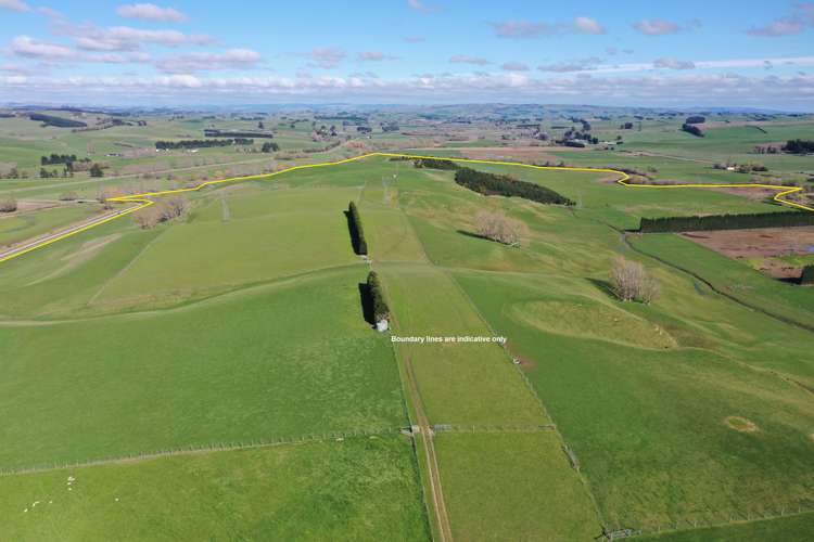 526 Turnbull Road Gore Surrounds_18