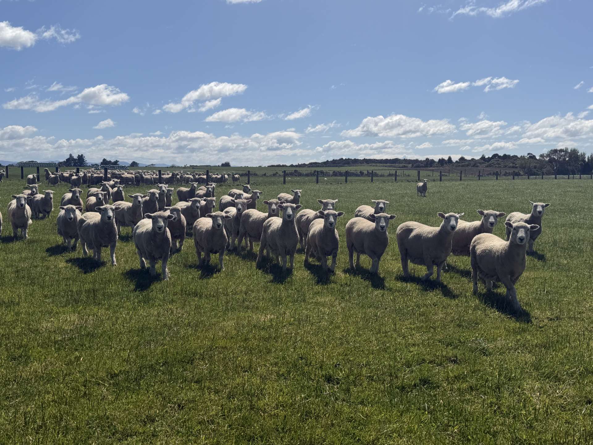 166 Brand Road Kennington_0