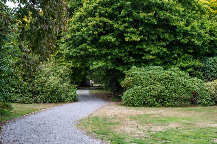 224 Rawhiti Road Reporoa and Surrounds_11