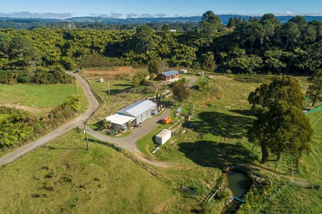 40a Ormsby Lane Kaimai_1