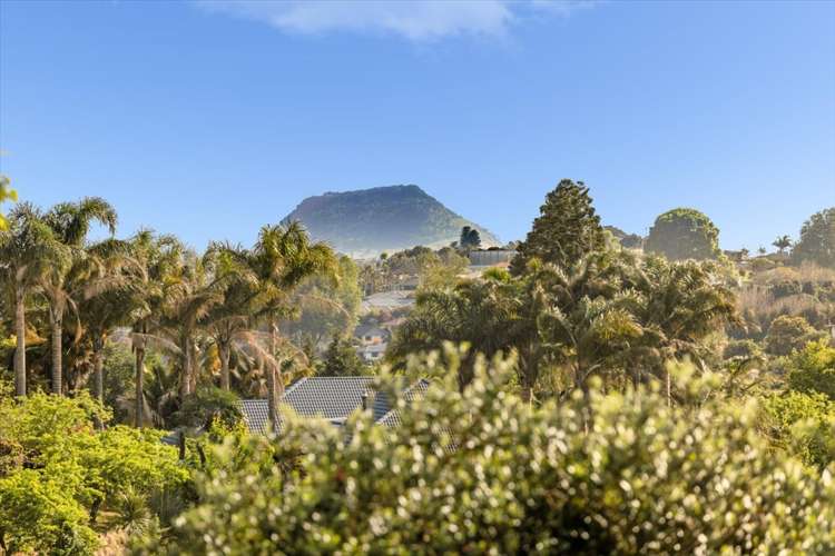 337 Cambridge Road Tauriko_20