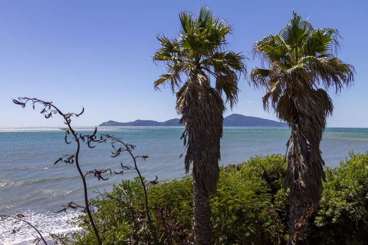 84 Ames Street Paekakariki_5