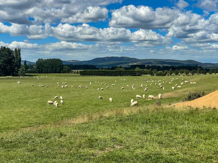 1177 Limehills Browns Road Winton Surrounds_13