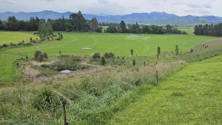 78 Cemetery Road Culverden_9