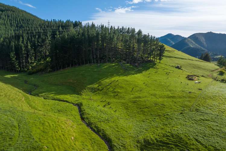 Lot 2, Maungatapu Road Pelorus Bridge_9