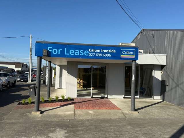 2 Lipton Street Onekawa_4