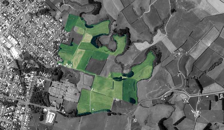 2A Ropata Street Hawera_34