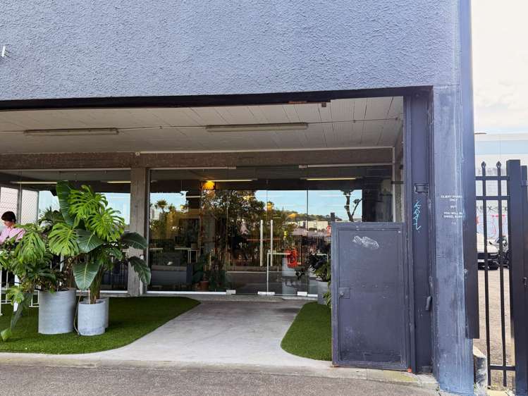 26 Monmouth Street Grey Lynn_11