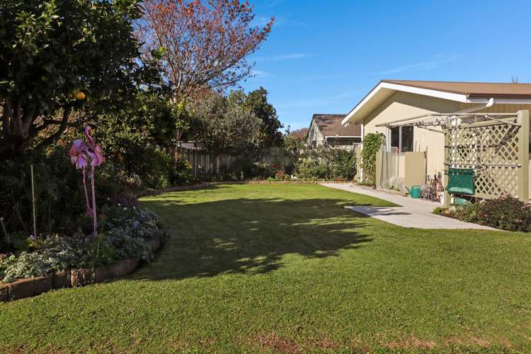 128 Stanley Avenue Te Aroha_14