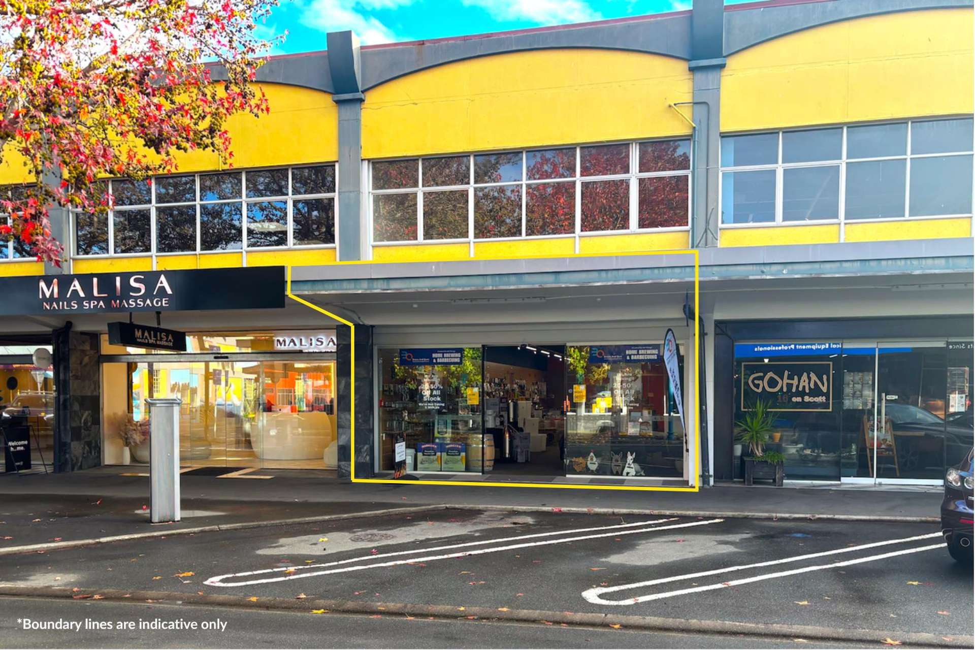 16A Scott Street Blenheim_0