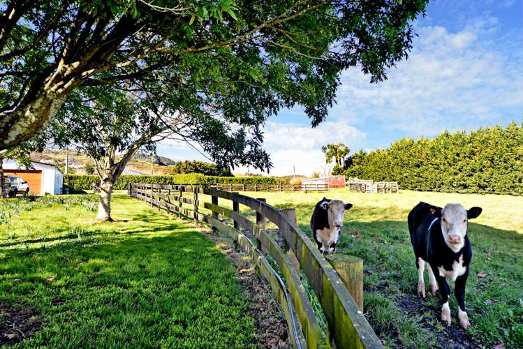 120 Drury Hills Road Drury_18