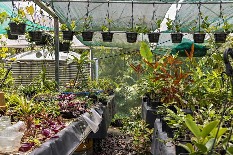 1021 Woodcocks Road Kaipara Flats_17