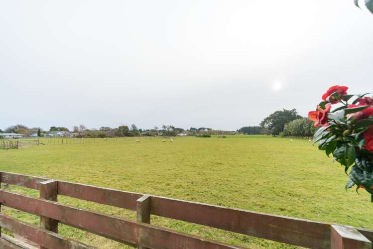 12 Walker Crescent Bulls_15