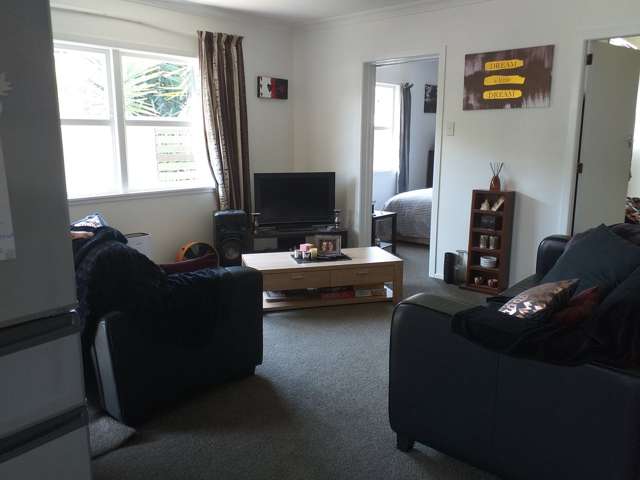 263b Ngatai Road Otumoetai_3