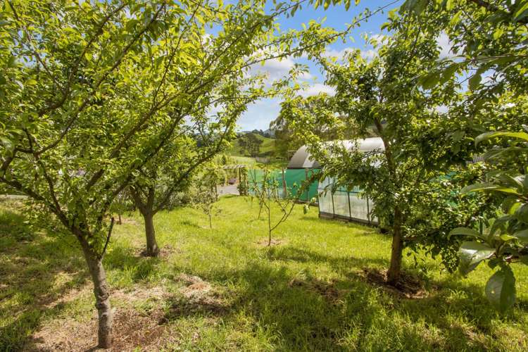 84 Kennedy Road Waikino_17