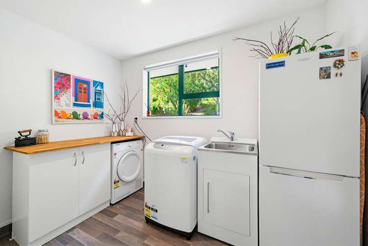 50 Auskerry Street Palmerston_19