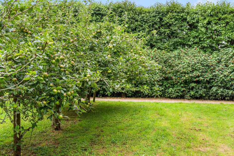 359A Kuku East Road Manakau_34