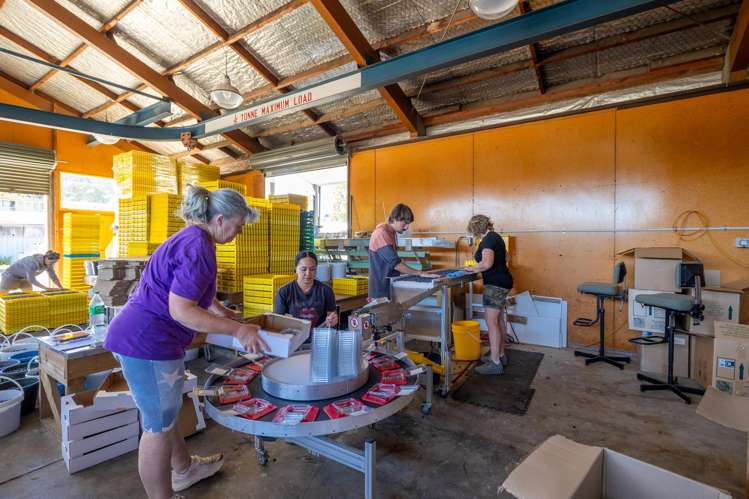 160 Tadmor Valley Road Tapawera_46