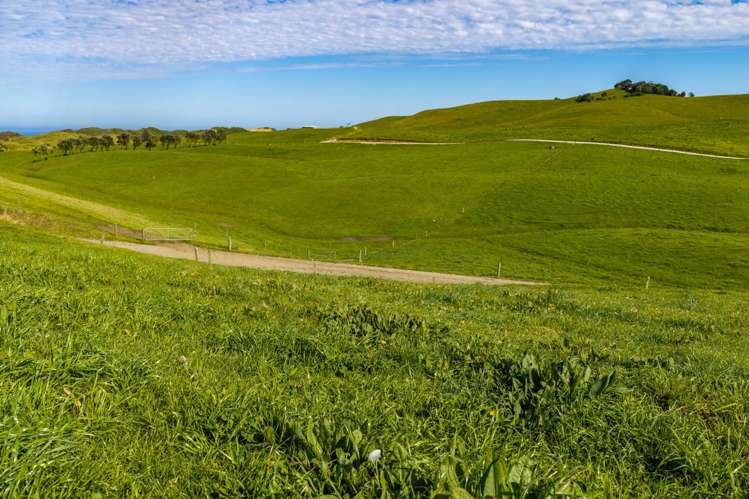 559 Mahuta Road Dargaville_29