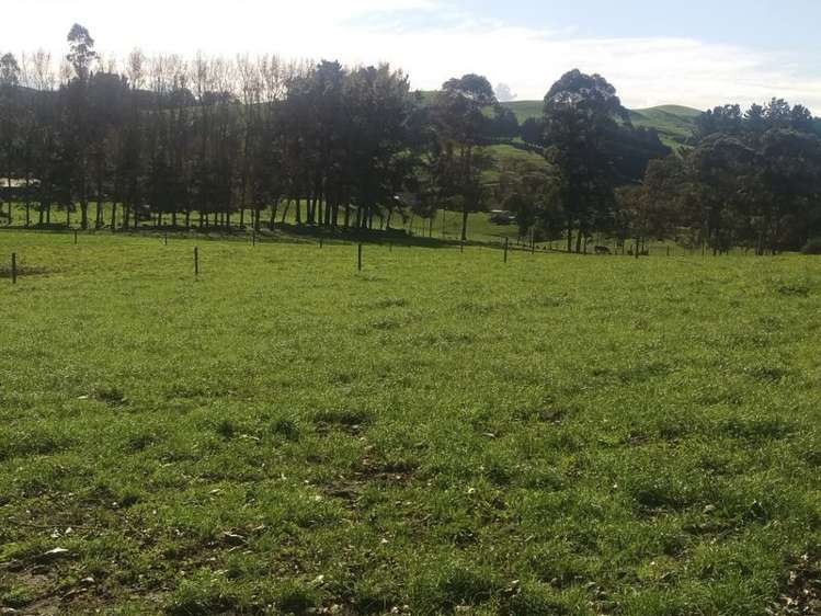 648 Scotsman Valley Road Tauwhare_7