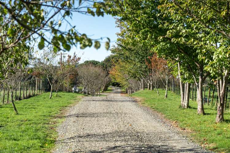 712 Norfolk Road Upper Plain_35