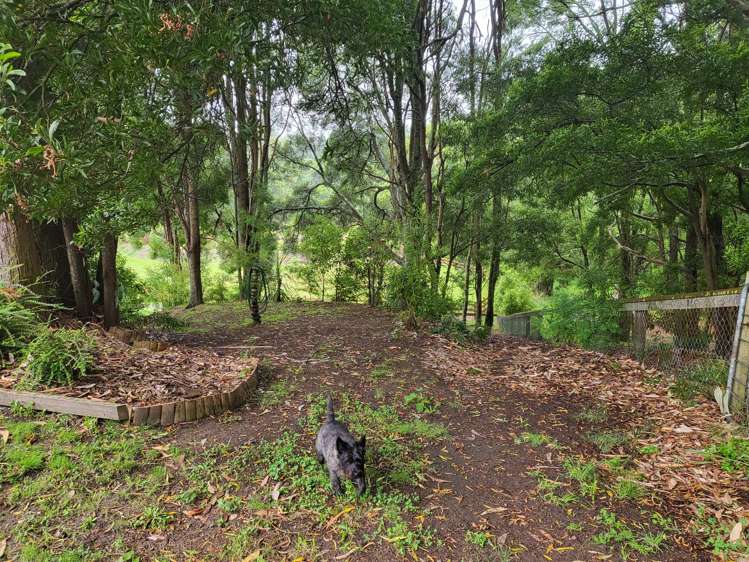 16 Karaka Place Kinloch_24