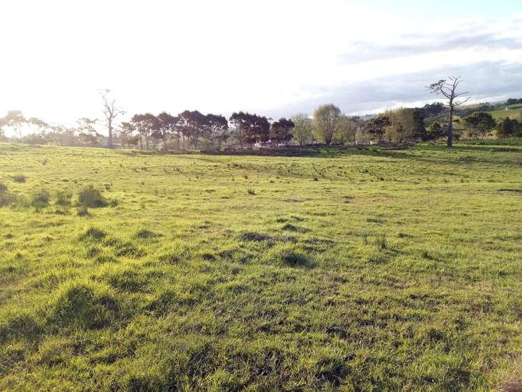 61 Follies Way Dairy Flat_0