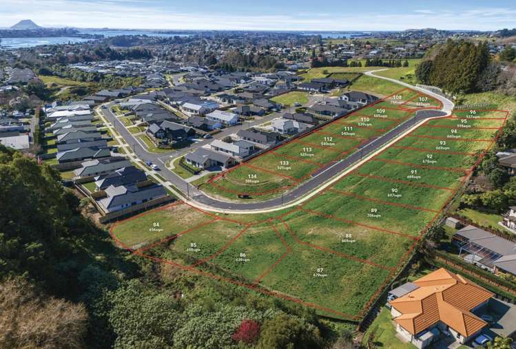 McFetridge Lane Ohauiti_8