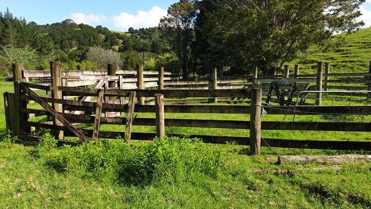 Lot 2/347 Porter Road Paparoa_26