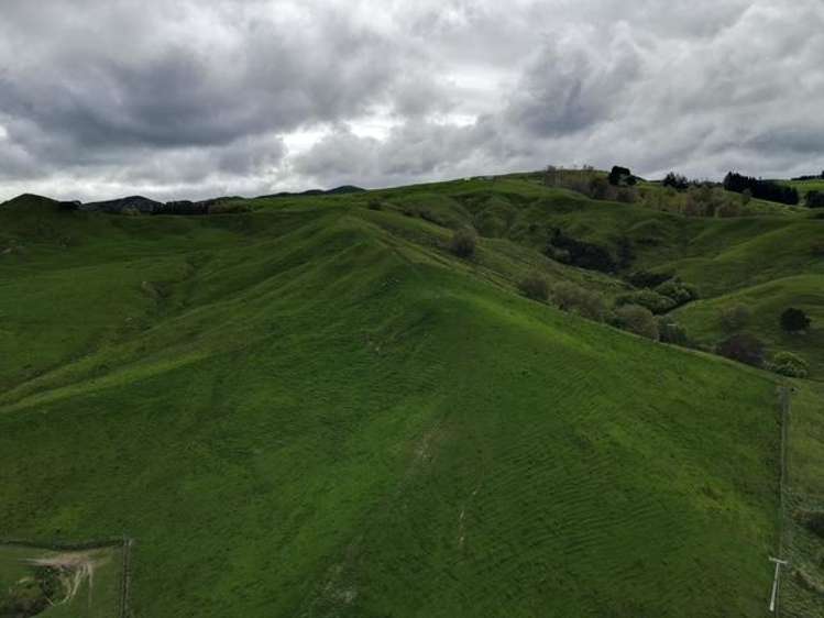2256 Weber Road Dannevirke_16