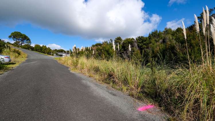 128 Stratford Drive Cable Bay_5