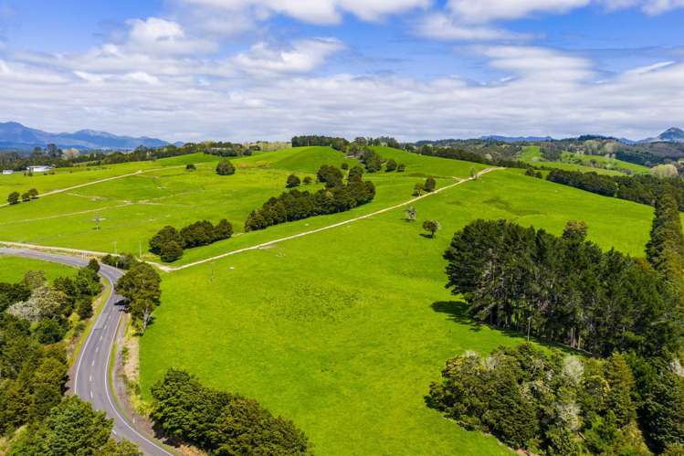 Mangakahia Road Titoki_31