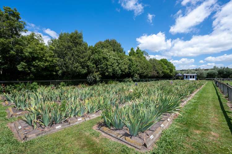 438 Twyford Road Twyford_32