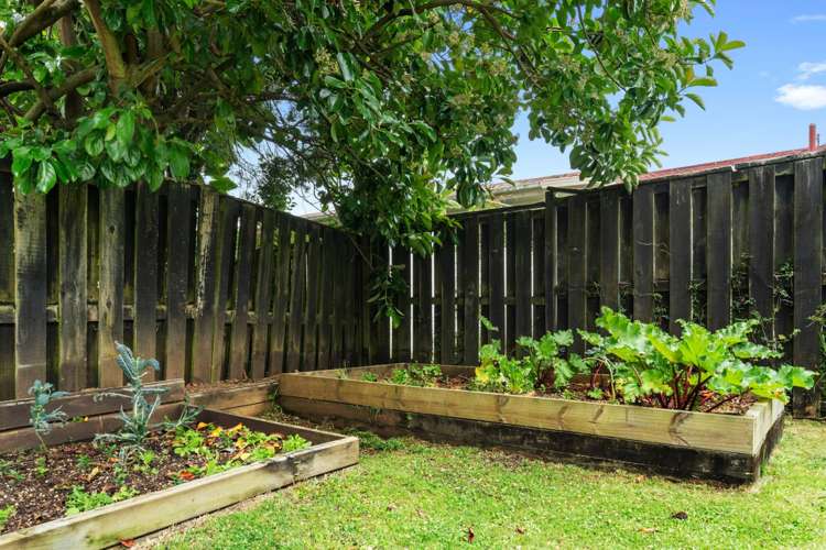 67a Campbell Road Onehunga_16