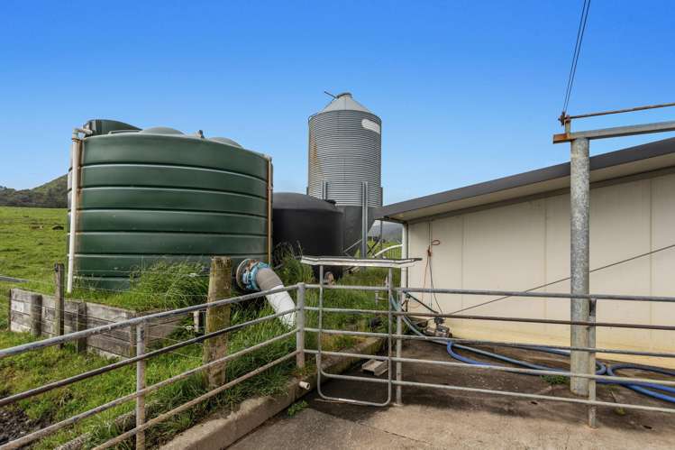 165 Motu Road Opotiki_15