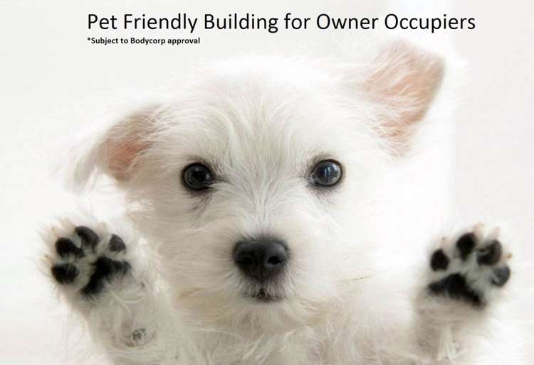 8/13 Kaihu Street Northcote_19