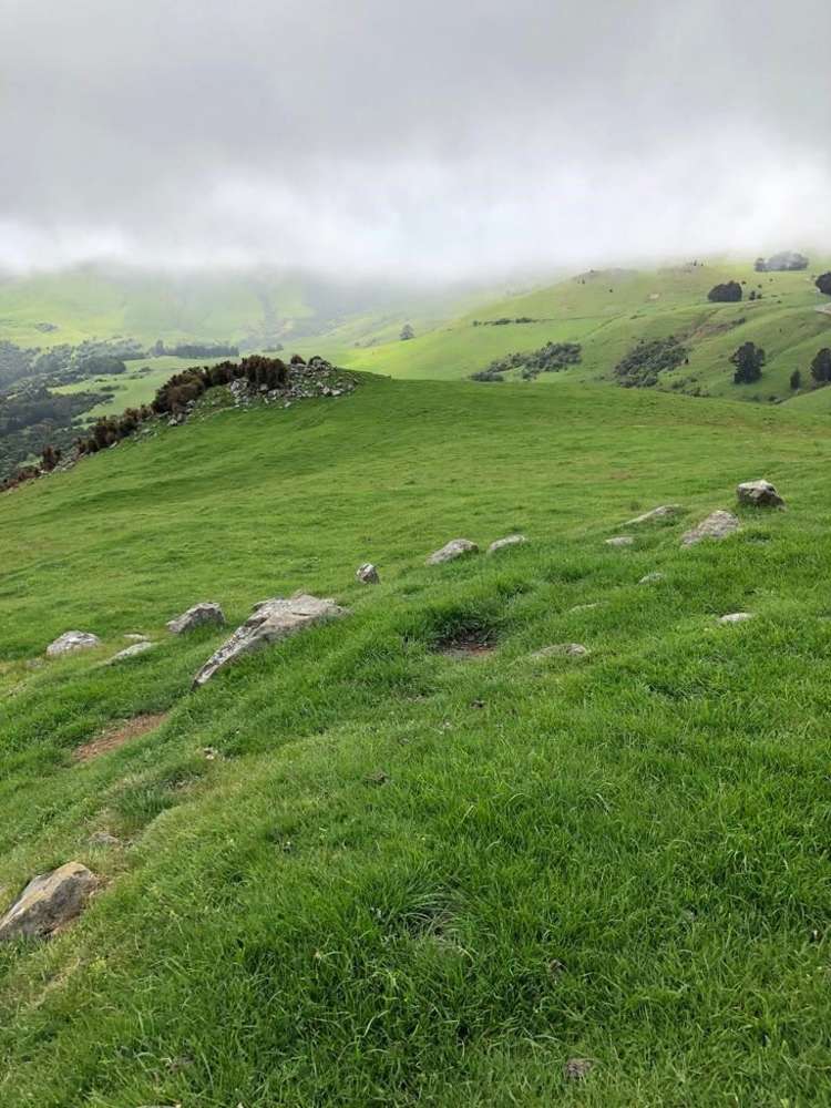 4990 Christchurch Akaroa Road Little River_21