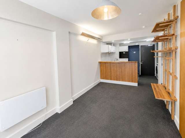  90/43 Mulgrave Street Thorndon_3