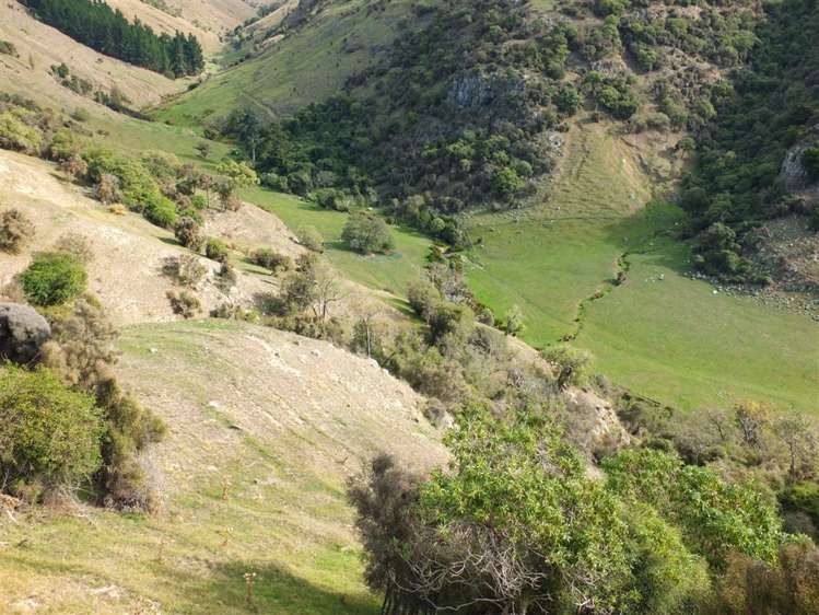 831 Chorlton Road Little Akaloa_24