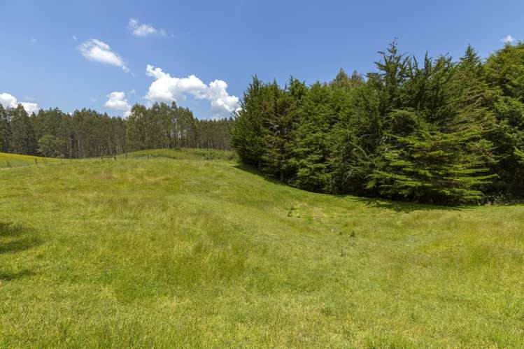 72 Ridgetop Way Oruanui_35