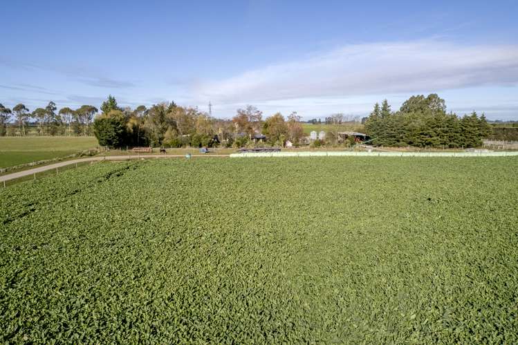 1963 Ealing Montalto Road Ashburton Surrounds_36