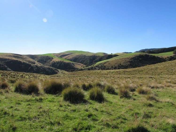 42 Bushside Road West Otago Surrounds_0