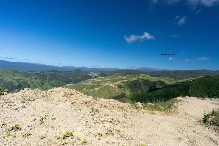 170 Mangaone North Road Te Horo_9