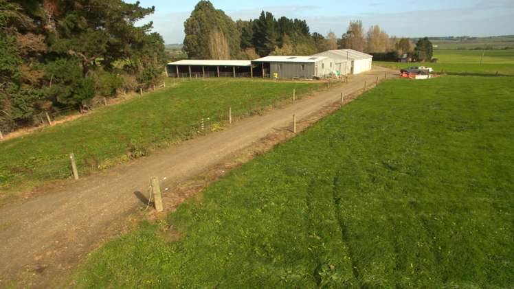 90A Mataura Island Factory Road Mataura Island_18